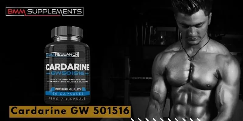 How does Cardarine help with healthier and faster muscle building?