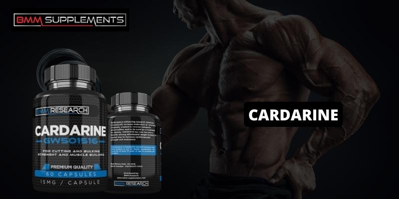 Why Is Cardarine A Popular Fitness Supplement