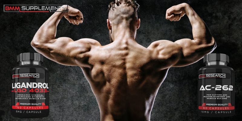 Which one is better for Muscle Enhancement? AC-262 or LGD-4033