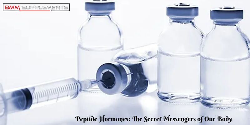 How do Peptide Hormones in the human body work